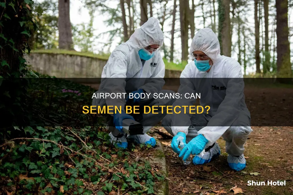 can semen show up at airport body scan
