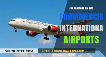Senators' Air Travel: Commercial or Private?