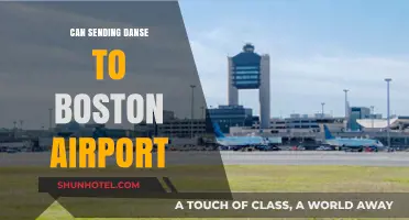 Danse's Safe Boston Airport Drop-off