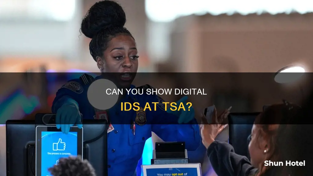 can show my id on my phone to tsa airport
