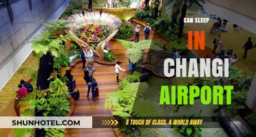 Changi Airport: Sleep-Friendly or Not?