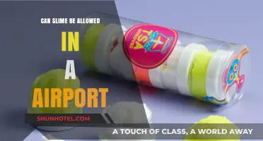 Slime's Airport Access: Allowed or Not?