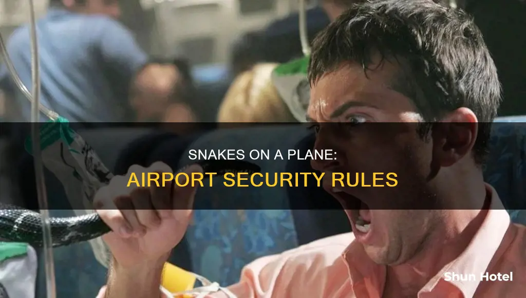 can snakes be taken through airport security