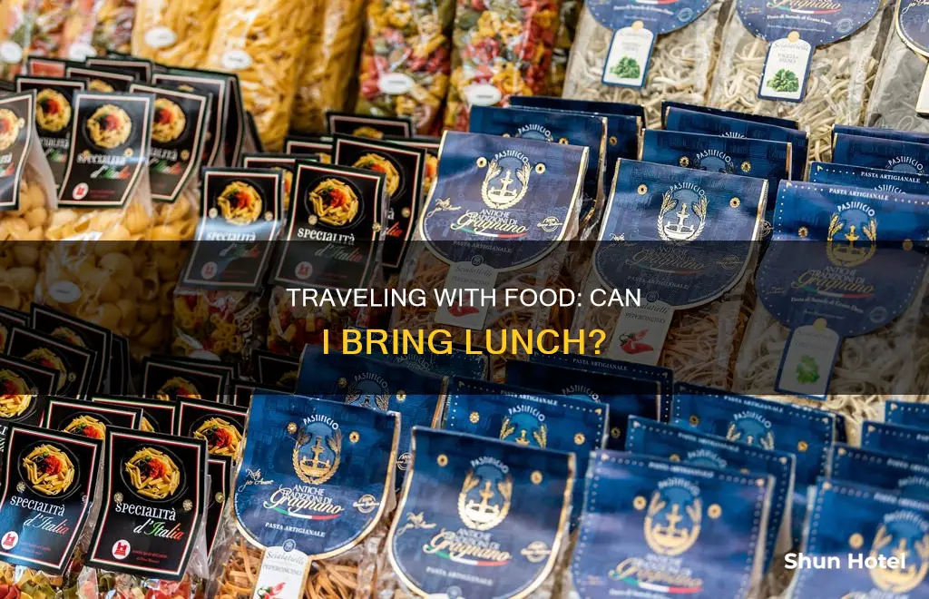 can solid lunch food from home pass through airport esecurity