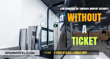 How to Navigate Airport Security Without a Ticket