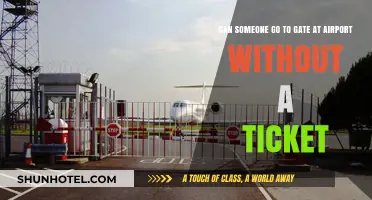 Who Can Access Airport Gates?