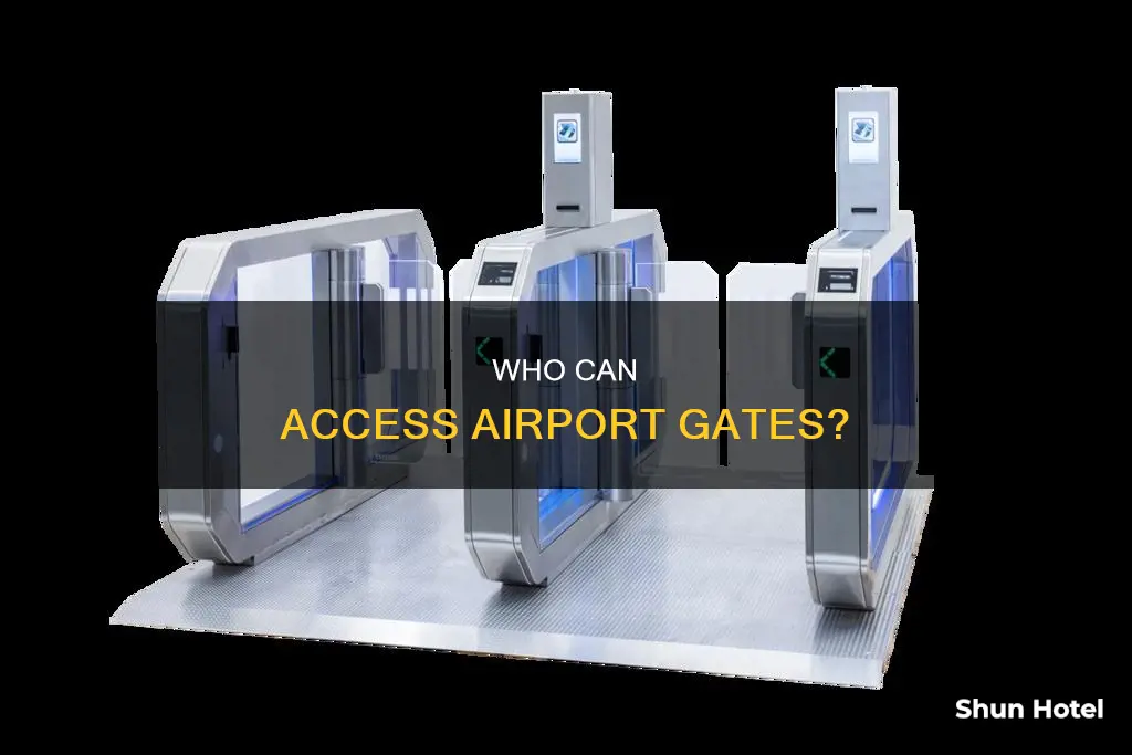 can someone go to gate at airport without a ticket