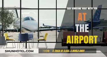 Waiting at the Airport: Who Can You Bring?