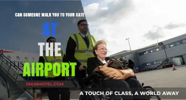 Airport Gate Access: Who Can Walk You?