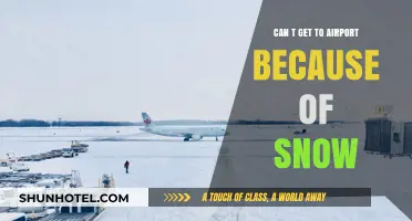 Snow Stranded: Missing My Flight
