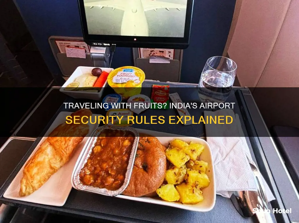 can take fruit through airport security india