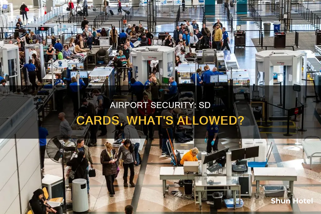 can take through airport lot of sd card us airport