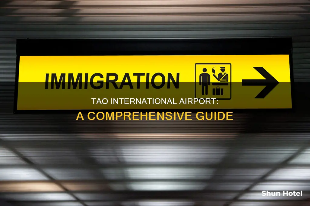 can tao international airport