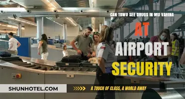 Airport Security: Can They See Drugs in My Vagina?