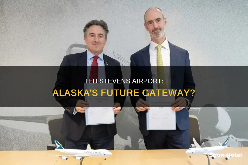 can ted stevens airport meet future needd of alaska