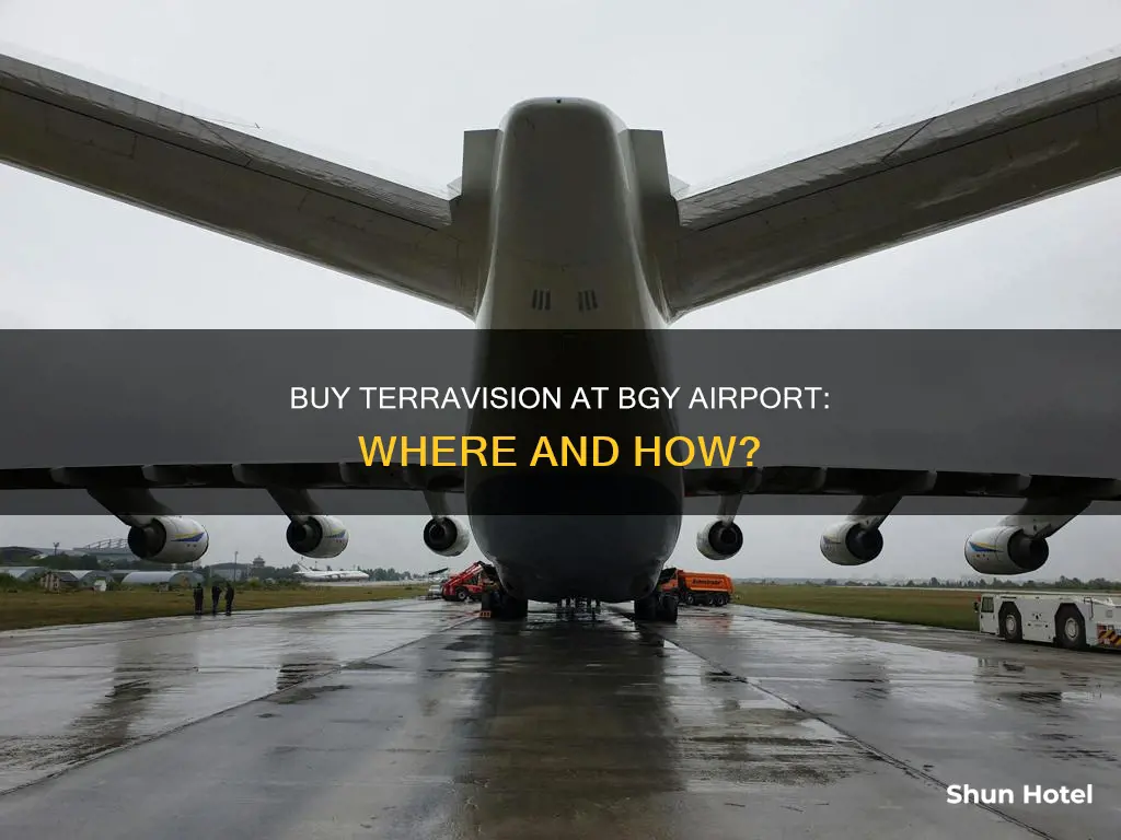 can terravision be purchased at bgy airport