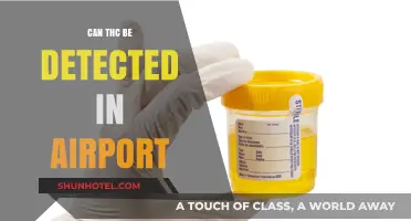 Airport THC Detection: What Travelers Should Know