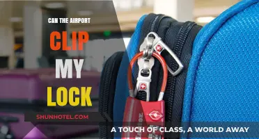 Airport Security: Can They Clip Your Lock?