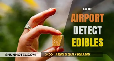 How Airports Sniff Out Edibles: A Traveler's Guide