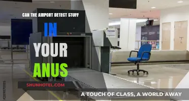 Airport Scanners: Can They See Inside You?