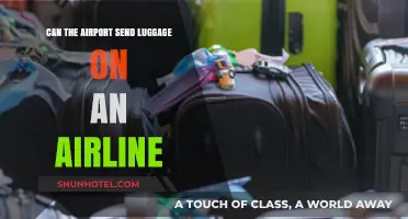 How Airlines Handle Your Checked Luggage
