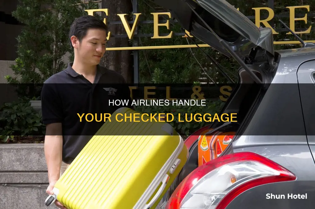 can the airport send luggage on an airline