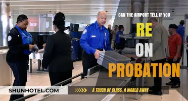 Traveling While on Probation: Airport Alerts