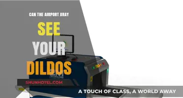 Traveling with Sex Toys: X-Ray Vision at Airports?