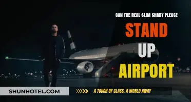 Slim Shady's Airport Antics: Who's Standing Up?
