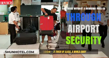 Airport Security: Can You Get Through Without a Boarding Pass?