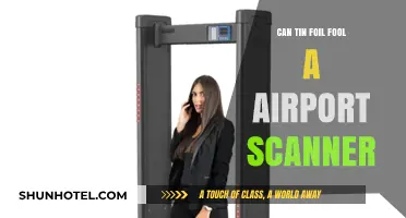 Airport Scanners: Can Tin Foil Fool Them?