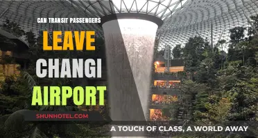 Exploring Changi: Transit Passengers' Freedom