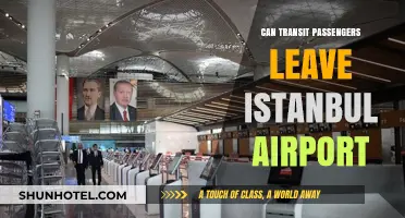 Istanbul Airport: Exploring Transit Privileges
