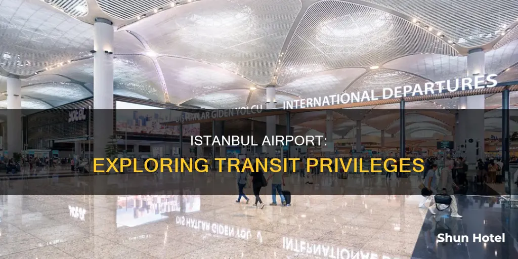 can transit passengers leave istanbul airport