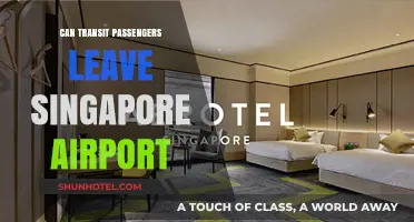 Explore Singapore: Transit Passengers Allowed to Leave Airport