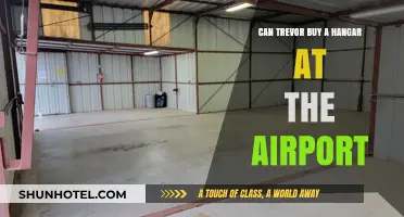 Exploring Trevor's Prospects: Hangar Ownership at the Airport