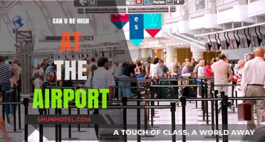 Airport Security: Can You Fly High?