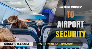 Bringing Applesauce Through Airport Security: What You Need to Know