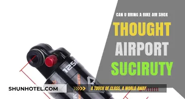 Airport Security: Can You Bring Air Shox?