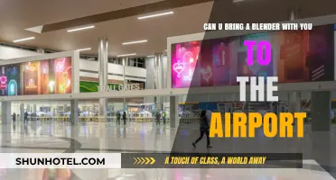 Traveling with a Blender: Airport Security Rules