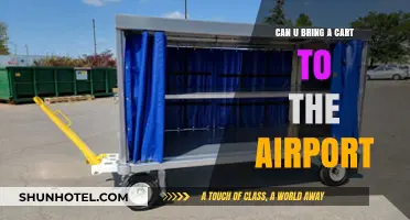 Airport Cart Convenience: What You Need to Know