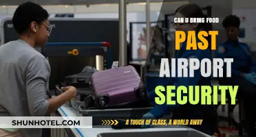 Traveler's Guide: Bringing Food Through Airport Security