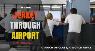 Jerky and Airport Security: What You Need to Know