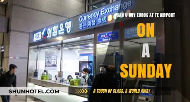 Last-Minute Euro Exchange: Airport Access on Sundays