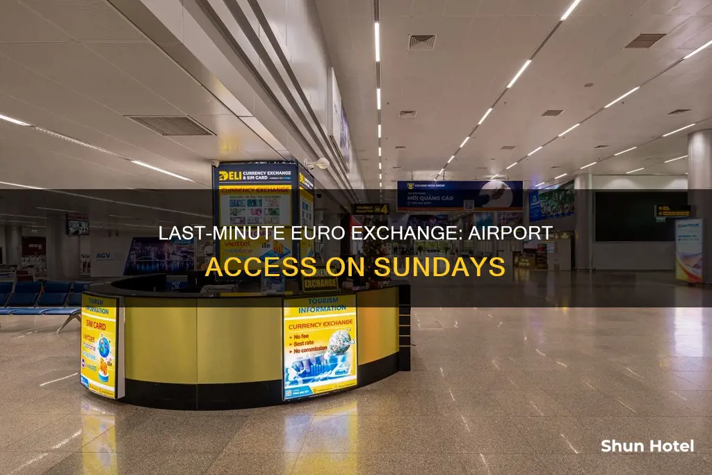 can u buy euros at te airport on a sunday