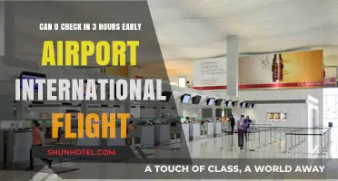 Early Birds: Checking in for International Flights