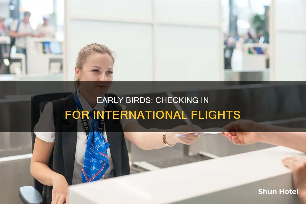 can u check in 3 hours early airport international flight