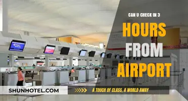 Exploring the City: Making the Most of Layover Time