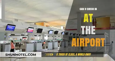 Airport Check-Ins: A Smooth Flight's Start