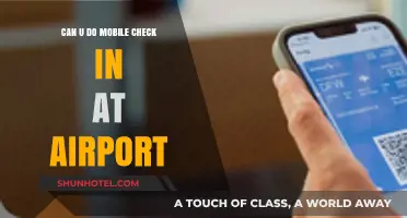 Mobile Check-Ins: A Smooth Airport Experience